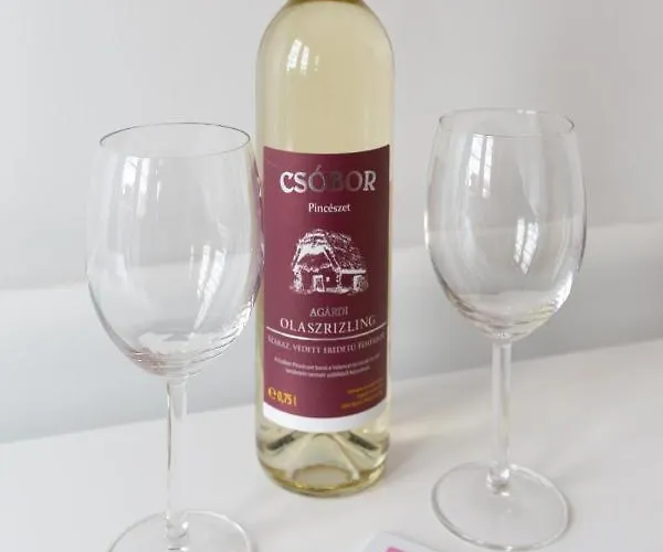 Case de vacanță Viraglak