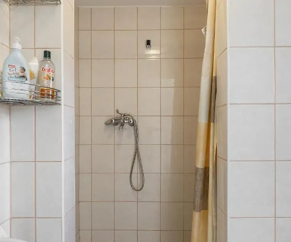 Viraglak Case de vacanță